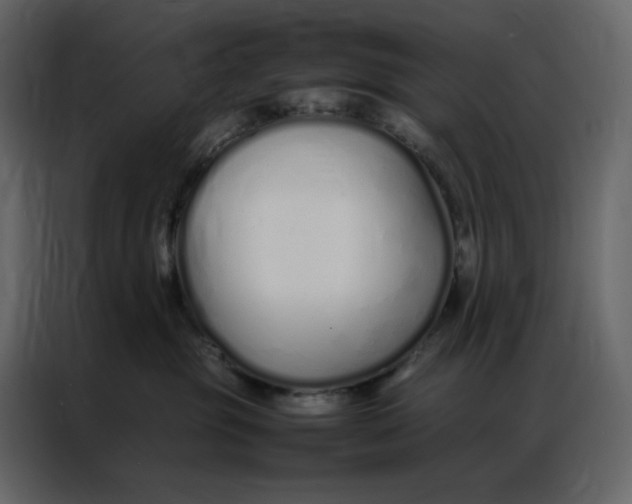 X0000086990381200705071441