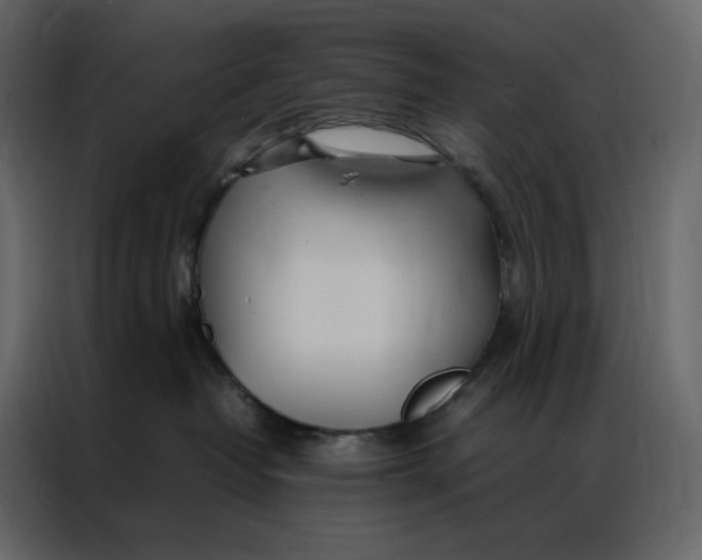 X0000086990382200705071441