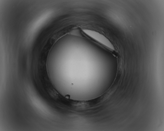 X0000086990383200705071441