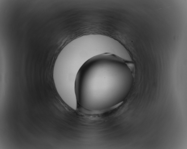 X0000086990384200705071441