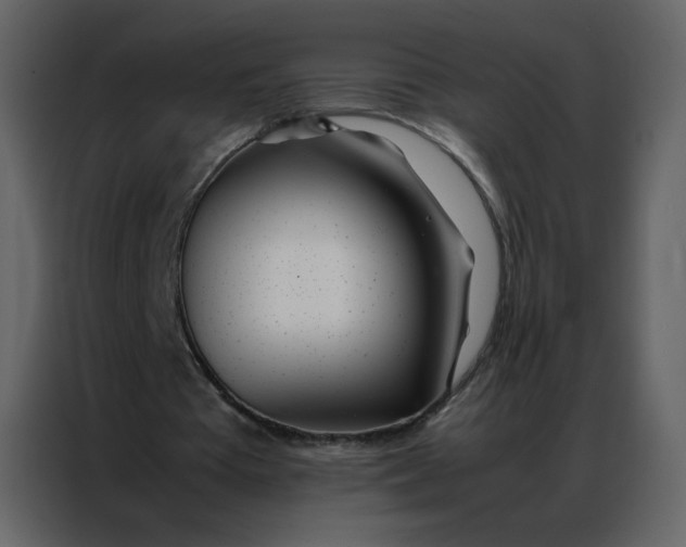 X0000086990385200705071441