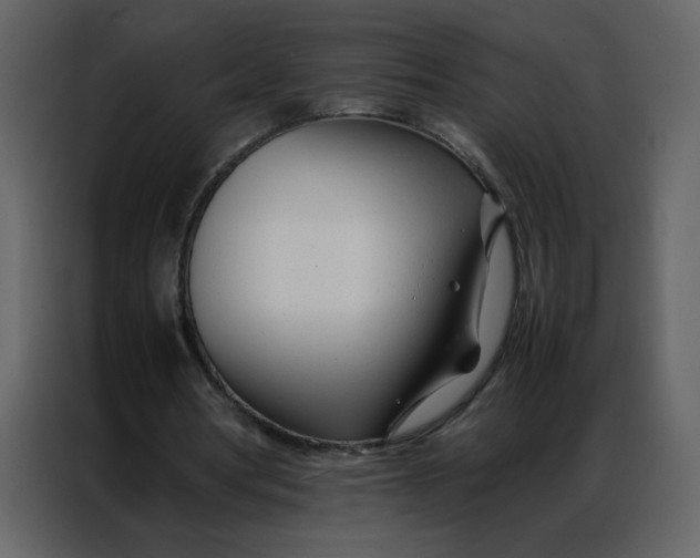 X0000086990386200705071441