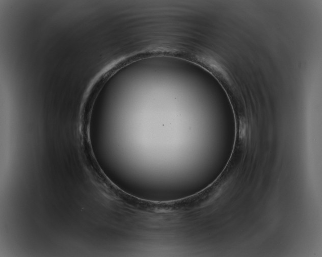 X0000086990388200705071441