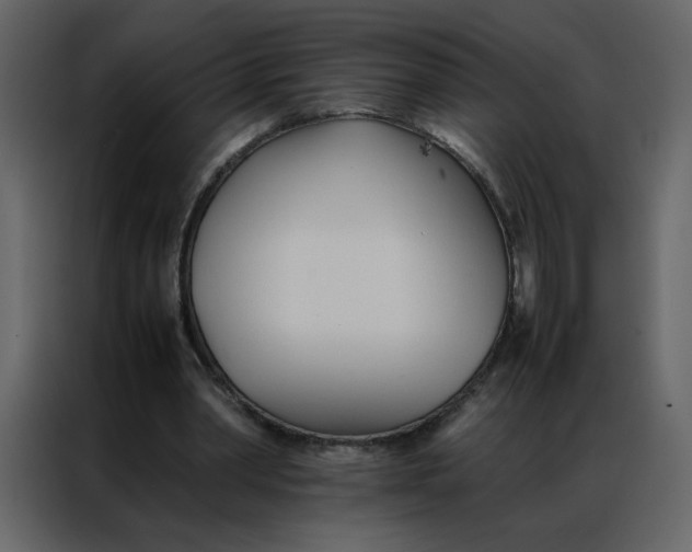 X0000086990390200705071441