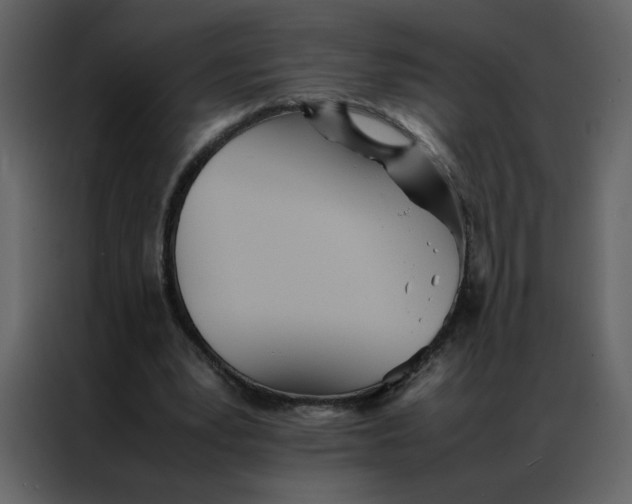 X0000086990391200705071441