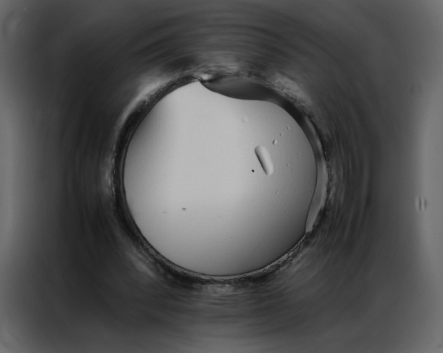 X0000086990392200705071441