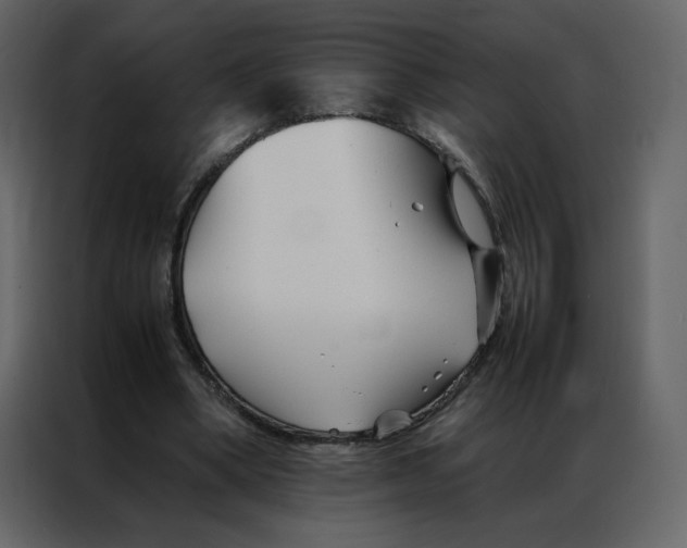 X0000086990394200705071441