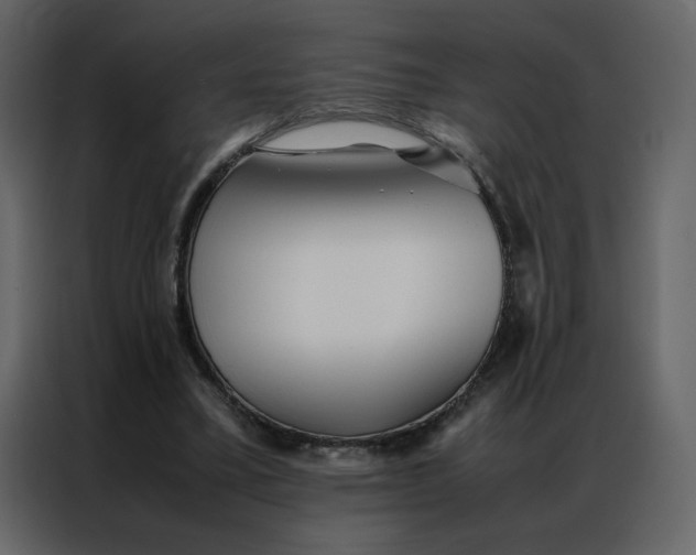 X0000086990395200705071441