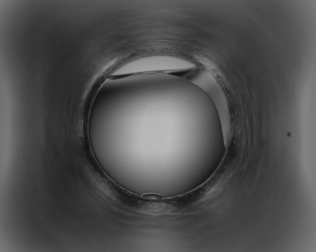 X0000086990399200705071441