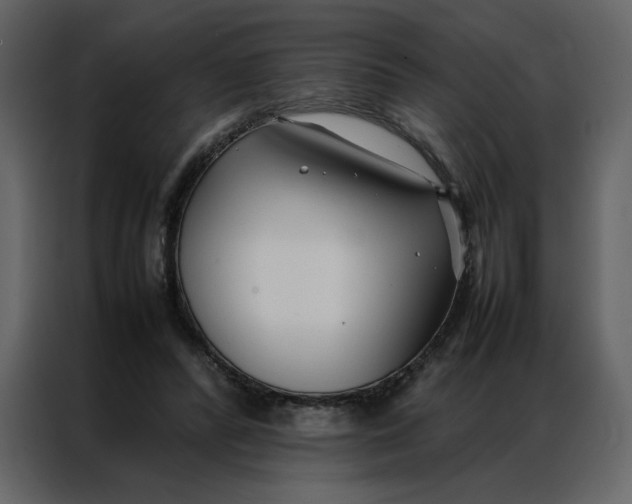 X0000086990400200705071441