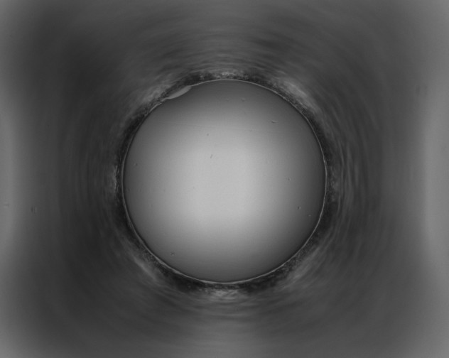 X0000086990401200705071441