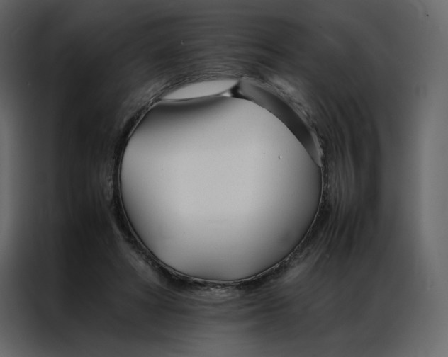 X0000086990402200705071440