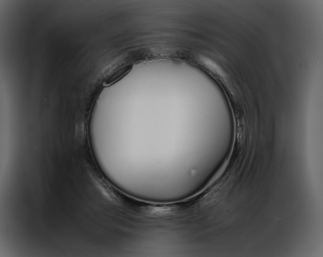 X0000086990405200705071440