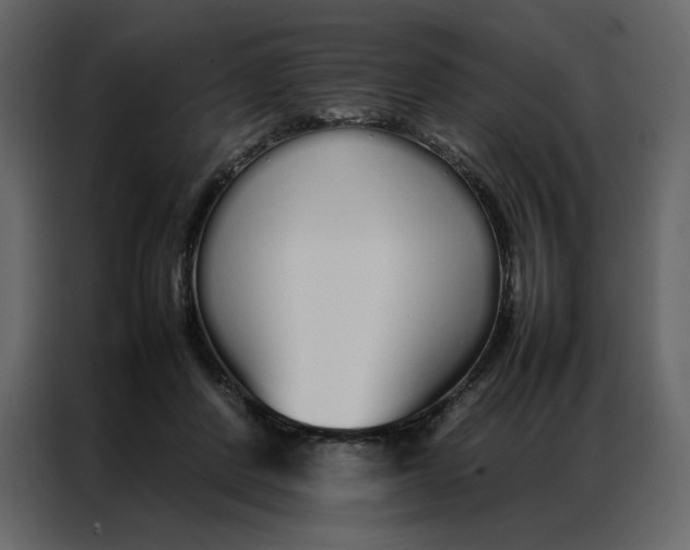 X0000086990408200705071440