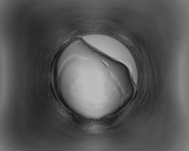 X0000086990409200705071440