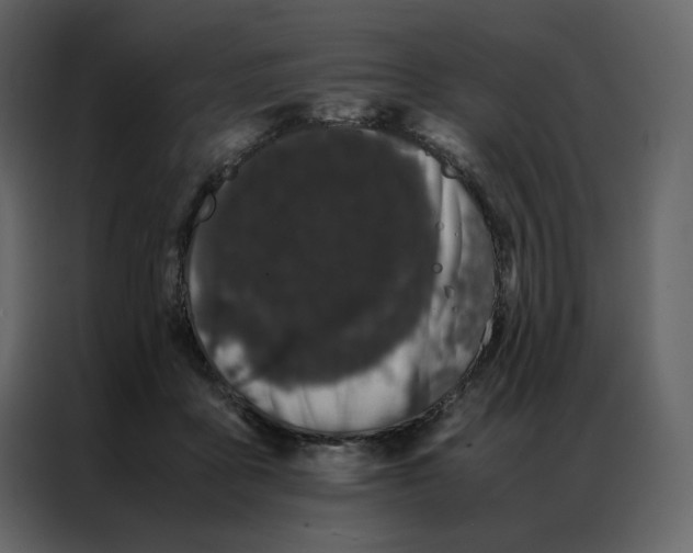 X0000086990411200705071440