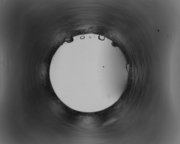 X0000086990412200705071440