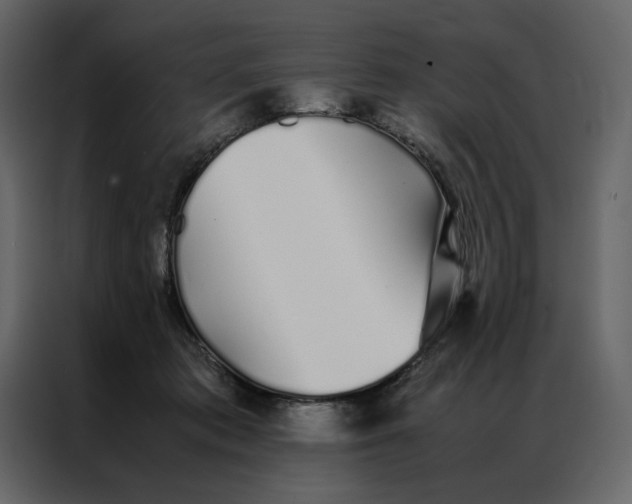 X0000086990413200705071440