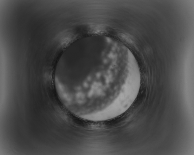 X0000086990415200705071440