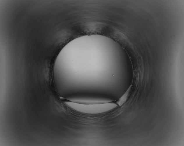 X0000086990416200705071440