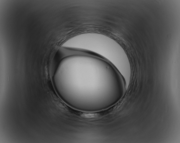 X0000086990417200705071440