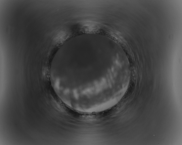 X0000086990419200705071440