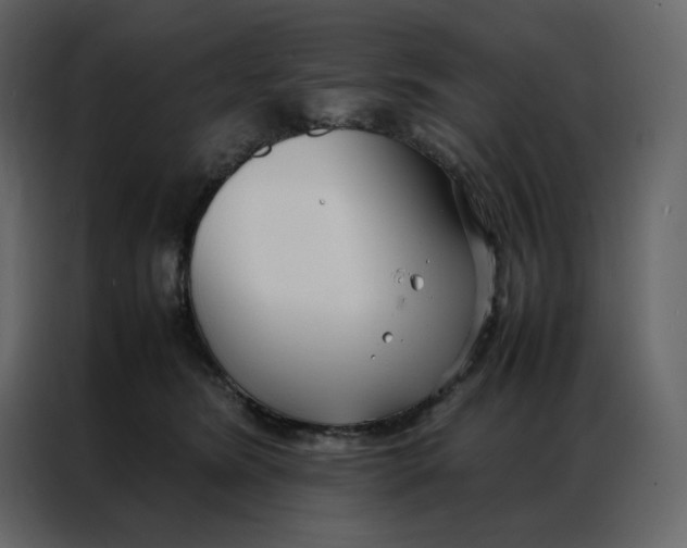 X0000086990420200705071440