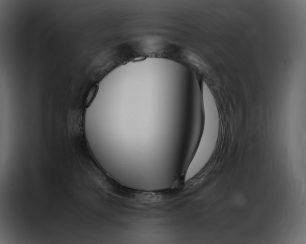 X0000086990421200705071440