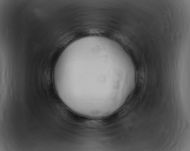 X0000086990422200705071440