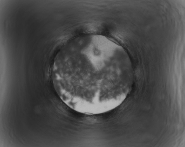 X0000086990423200705071440