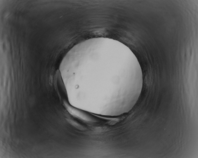 X0000086990424200705071440