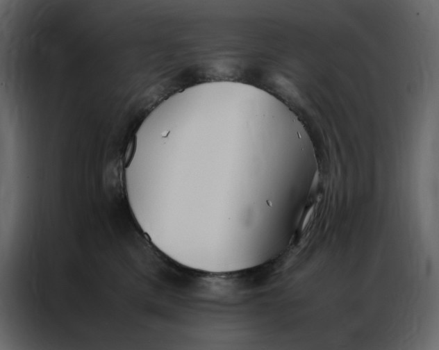 X0000086990425200705071440