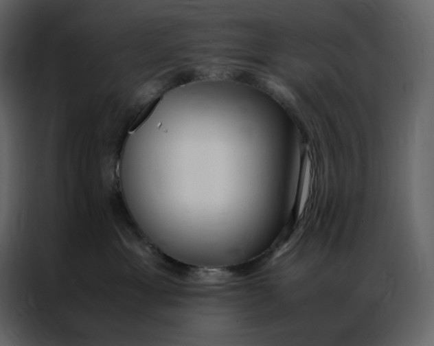 X0000086990429200705071440