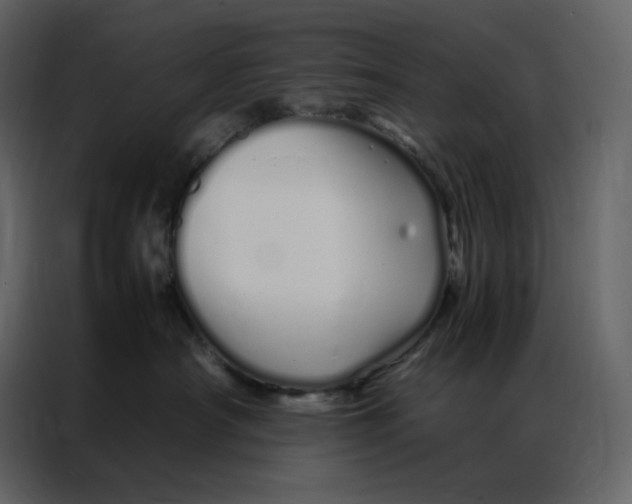 X0000086990430200705071440