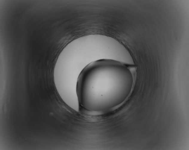 X0000086990432200705071440