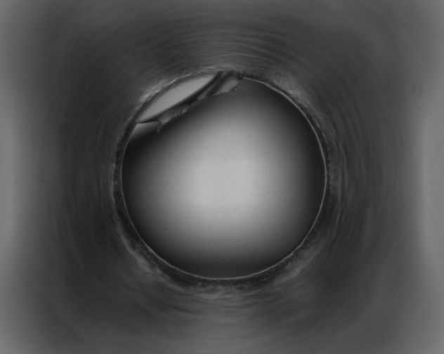 X0000086990434200705071440