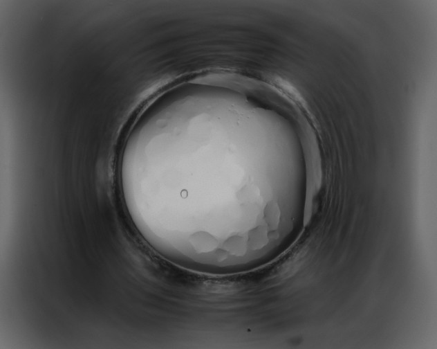 X0000086990435200705071440