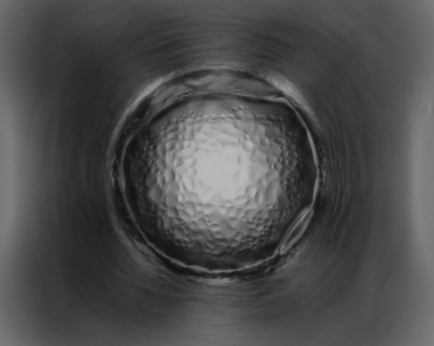 X0000086990436200705071440