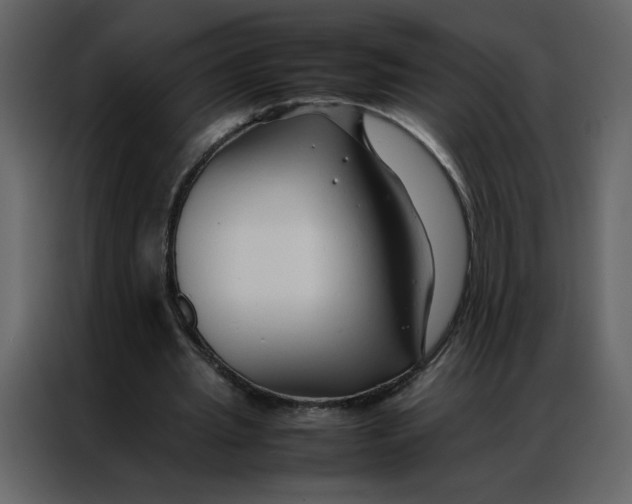 X0000086990437200705071440