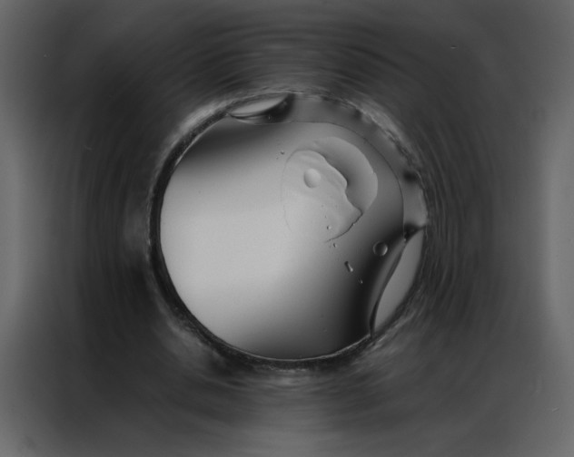 X0000086990438200705071440