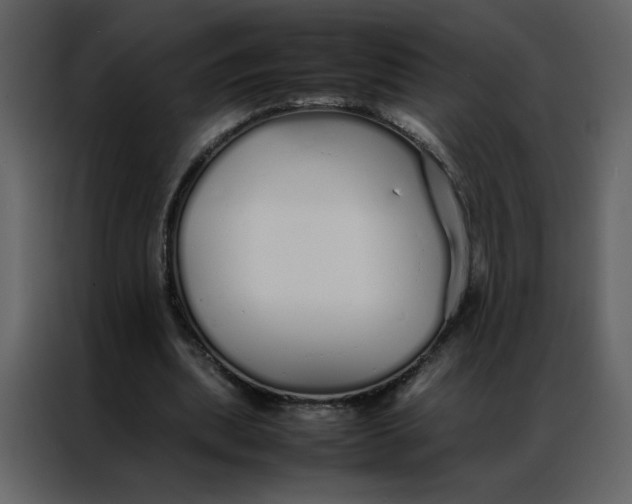 X0000086990439200705071440