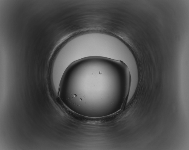 X0000086990440200705071440