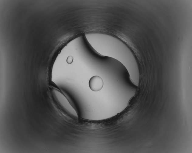 X0000086990442200705071440