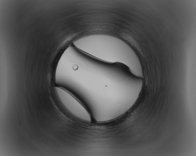 X0000086990444200705071440