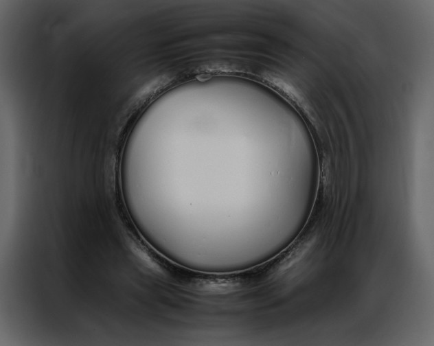 X0000086990445200705071440