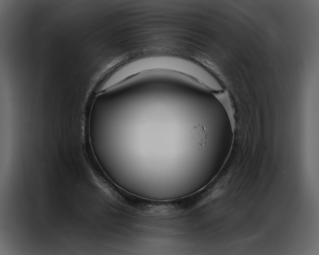 X0000086990446200705071440