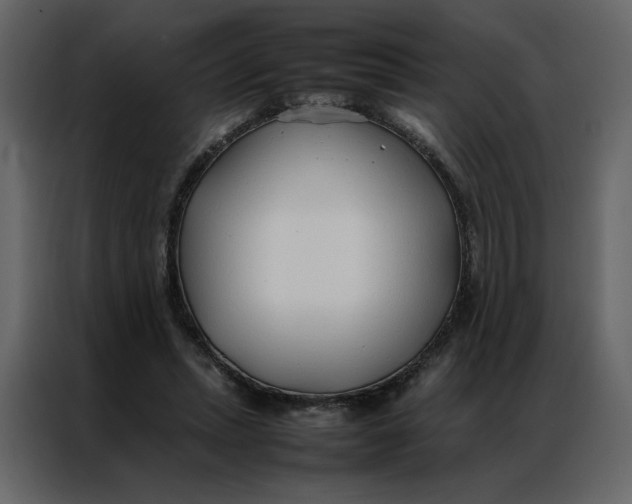 X0000086990447200705071440