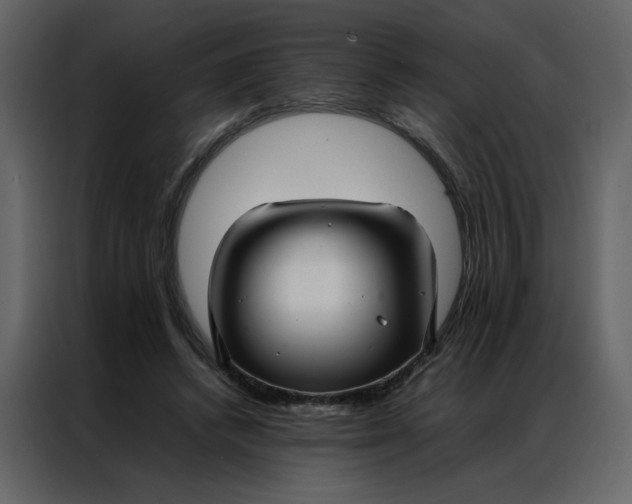 X0000086990448200705071440