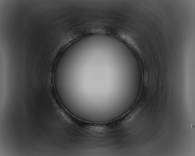 X0000086990449200705071440