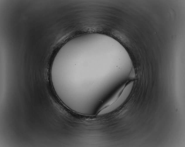 X0000086990450200705071440